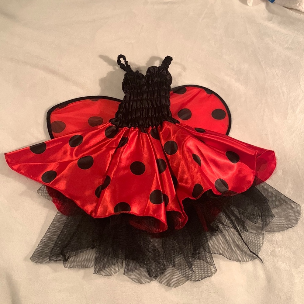 Ladybug Costume-up to 24m